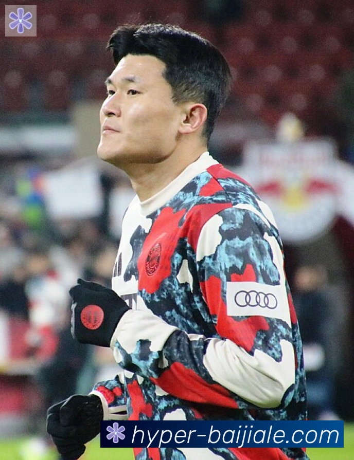 维尼修斯